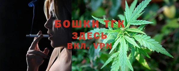 spice Горняк