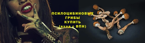 spice Горняк