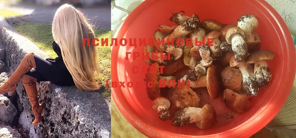 spice Горняк