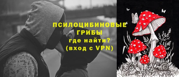 твердый Горнозаводск